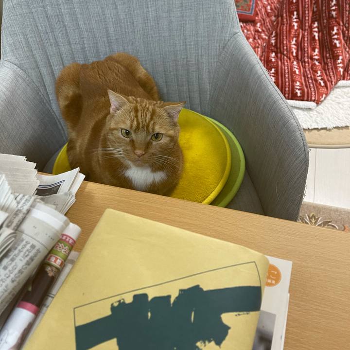 C094521a 7d57 47f3 84b6 31e4a963b66f 1611330836971