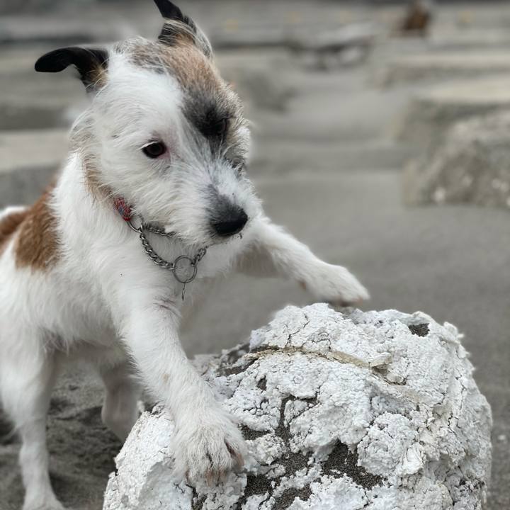 C0947614 ba8a 4def b991 197848dfc434 1616712370184