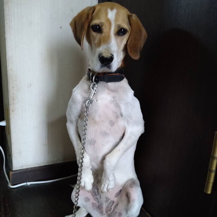 C0948d91 45e3 431a b80e 1eea3bf02c92 1659774422445