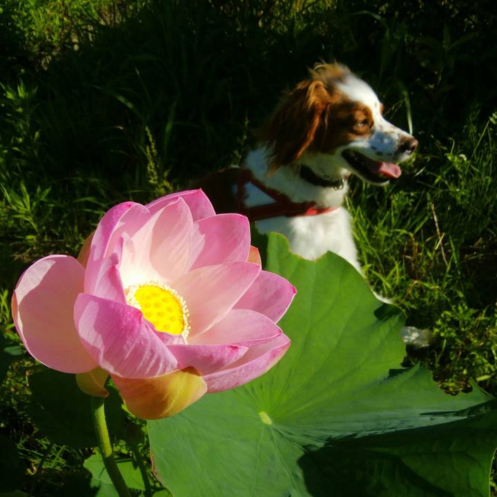 C0949a54 c28f 47f5 9d1e 6dbda2e39943 1530490351457