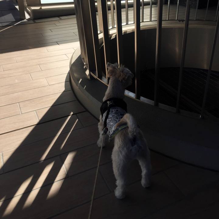 C094aa75 8254 4e50 b1f6 82ad334fb1b9 1541159992303