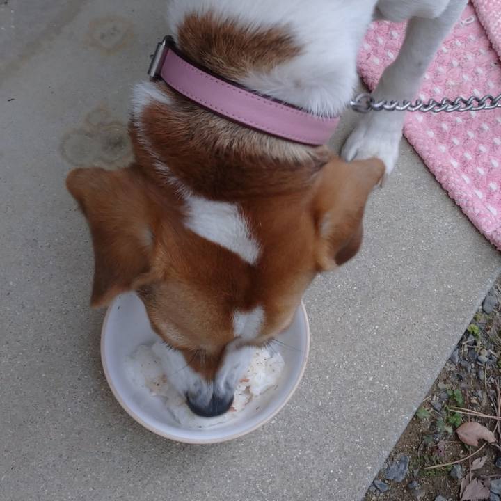 C094abe5 28b7 45ea 872a 79591e93ae4b 1579419742236