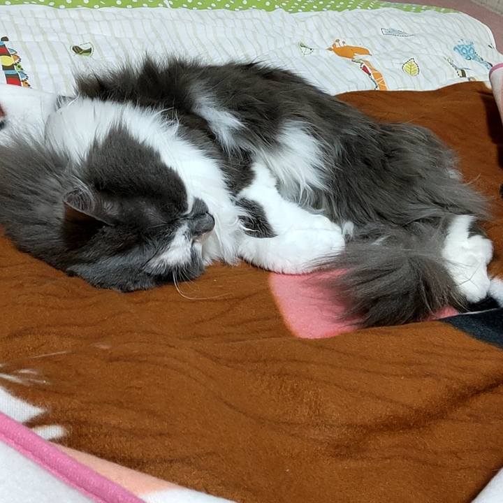 C094ccd4 0b84 483f 8e83 6fa8967e22fc 1652008654702