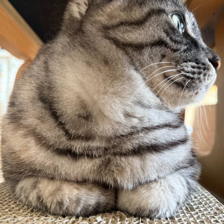 C094d2d1 0e06 4784 a208 428cd5ef6e72 1761965218970