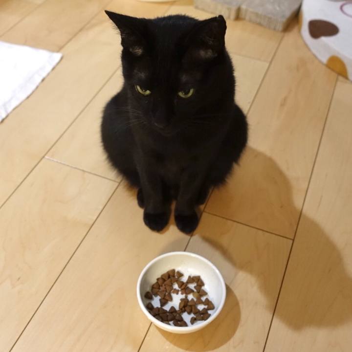 C094dda5 26f6 45fb b233 6c778cbf7c42 1552230870613