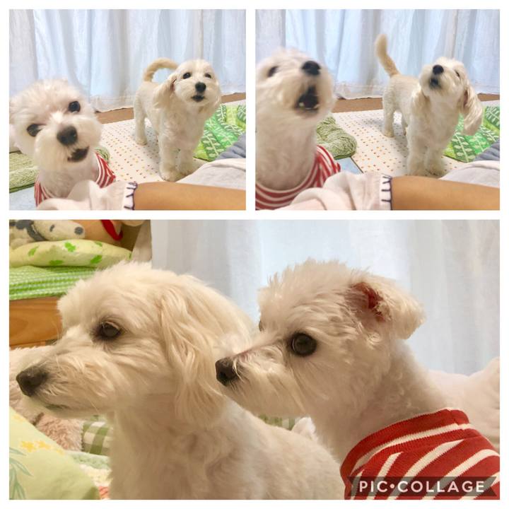 C0951a50 3f3c 47ba 9be4 fa90d6048f35 1561937617902