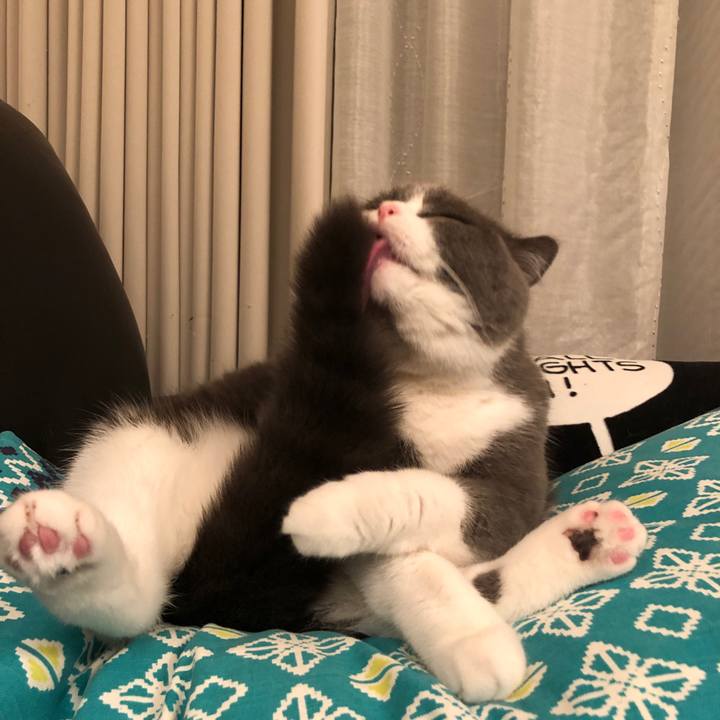 C0952909 9b77 45e2 8acf a604e7d7dad7 1545615071378