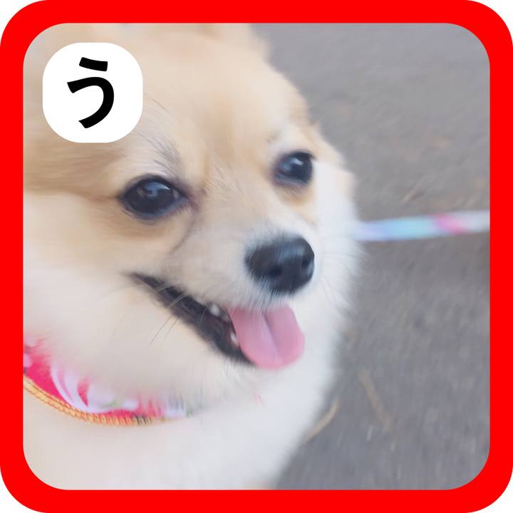 C09539b3 0df8 49a7 9e7d 755db0c20016 1514896275803