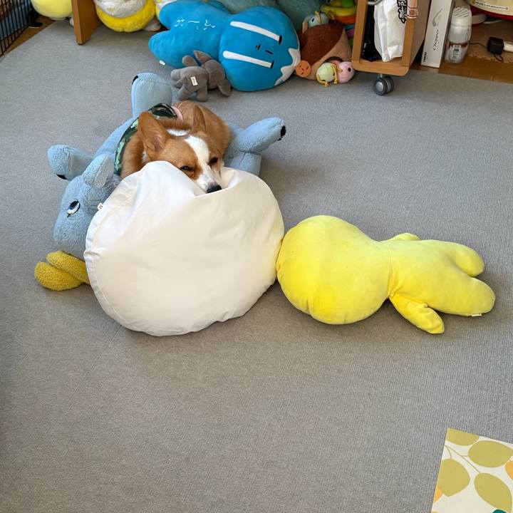 C0955078 c2cc 4419 82c9 67a94a12339f 1771462192498