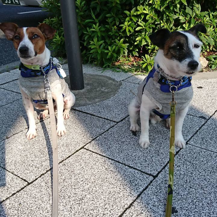 C0956aae 465f 42d9 a26b c54af713d2b4 1561500075847