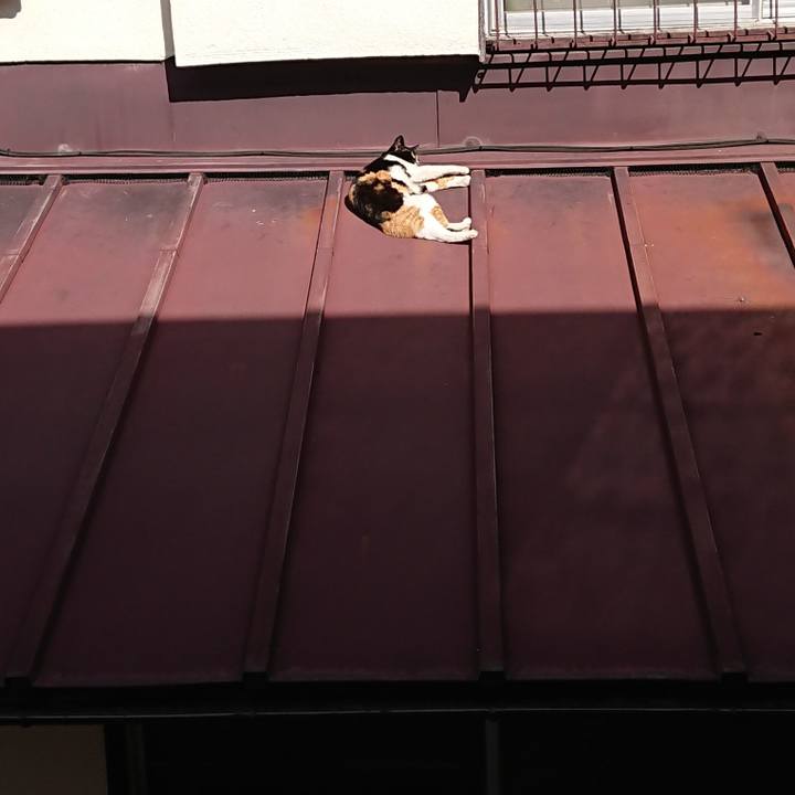 C0957d2d a12f 4e54 b18e 57ef2041722e 1613269648931