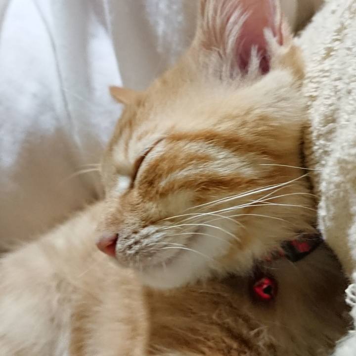 C095844c 9316 4f94 9486 1700353efa54 1632746656841