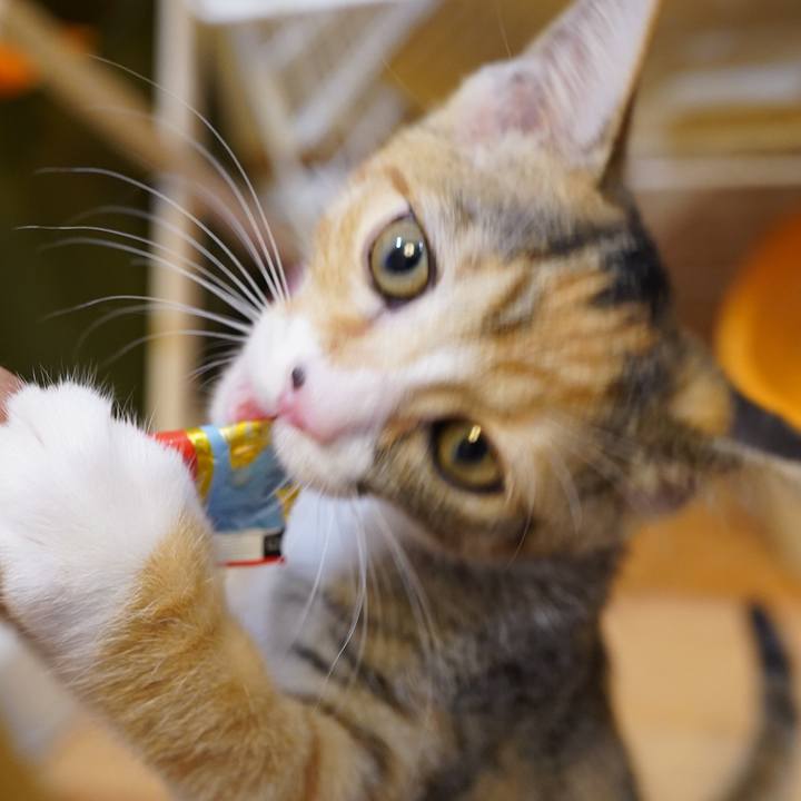 C0959556 5271 4166 838c 8f9c689c26c3 1568798438486