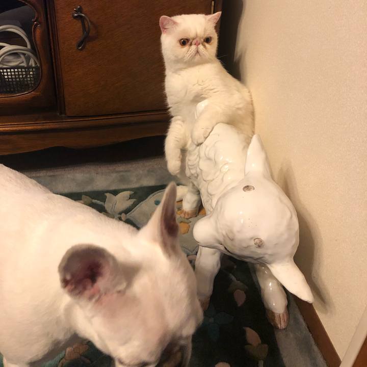 C095aad5 cc15 4e8a 8f82 9a7a062f9b20 1658829843350