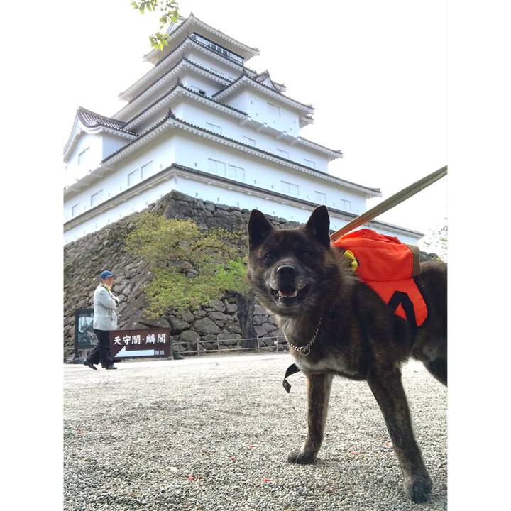 C095b927 ef61 47fa a10c efcc04d78f93 1556875138475