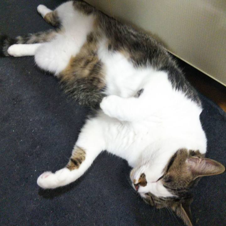 C095cb2a b1e3 427a b335 fedbb7be1347 1653911828232