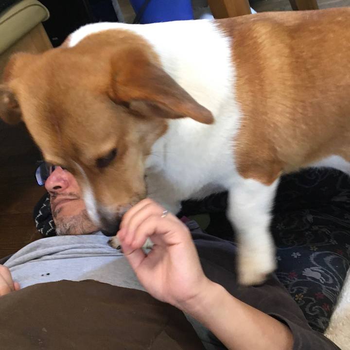 C095fc88 d867 4deb 84ef 7a33b94a7893 1620524388122