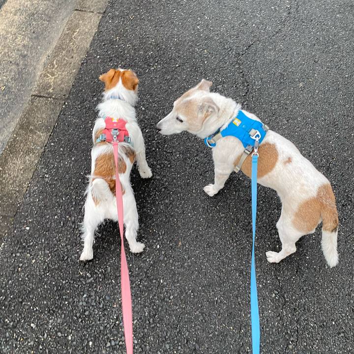 C0961ac6 2ff3 4195 9052 262b80056304 1713906515102