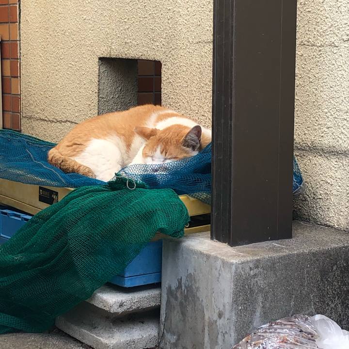 C0962548 b480 4243 a679 c24abefbba5a 1589721170992