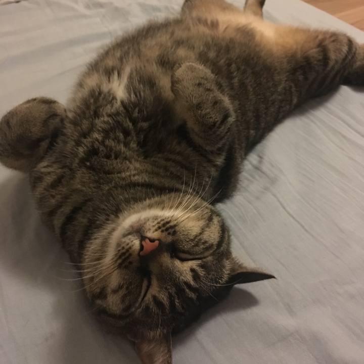 C0965ea7 606f 4d6f a62e 0cb2b1dc53d1 1588681396533