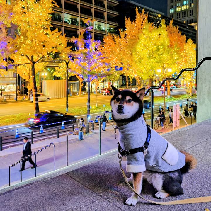 C096fd97 8e55 4382 ac22 15884be9a22f 1764431198910