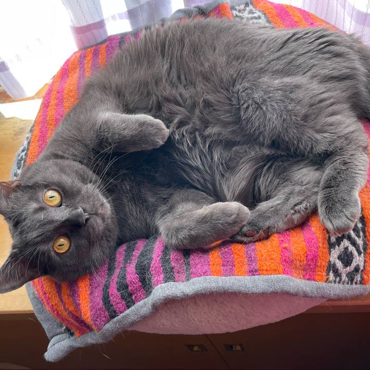 C0972cf7 13fb 4510 841a 6bd40a463baa 1768783763822