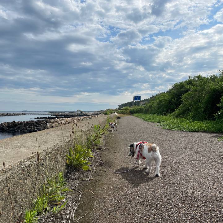 C0974210 3901 4865 8b8b 45cc0ab60a90 1656200458722