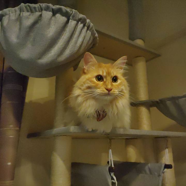 C0976d5e 47e8 4bae 837e 1405d5a712dd 1654002931940