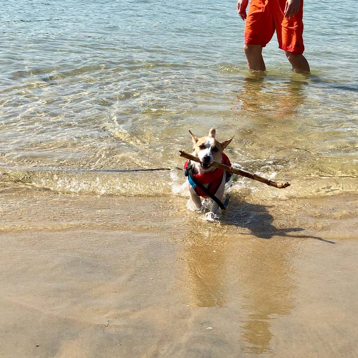 C097a219 24c8 4649 bafa c057b52984bc 1565045730395