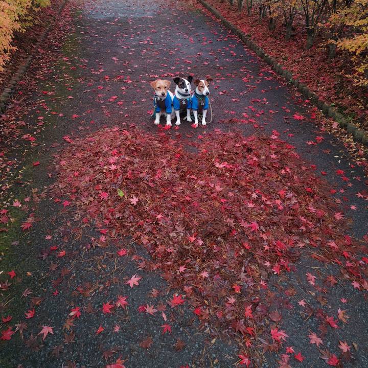 C097ba16 aa4e 4f1a 8d5d a420e93cce97 1731938490211