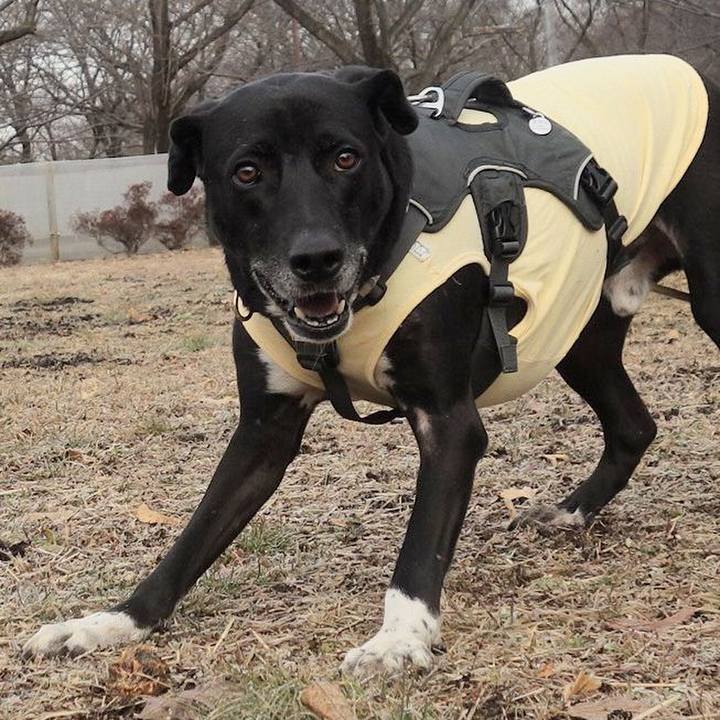 C097bd0a 8723 4bb8 b3bc c6338b3b9cdc 1644713819515