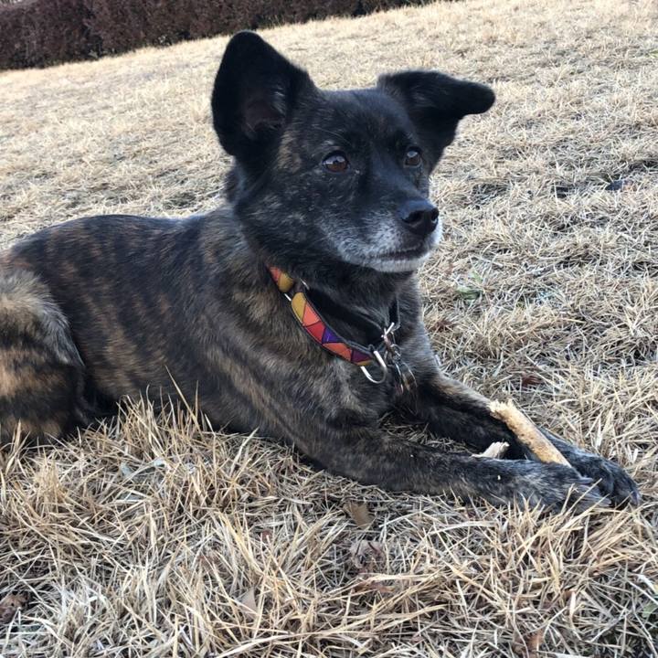 C097c2f2 3d5b 4ec3 a887 655d3d4b1900 1516621312034