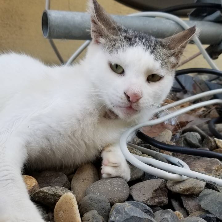 C097c503 5aa8 489a 9114 c03d9c9c06ab 1691019815978