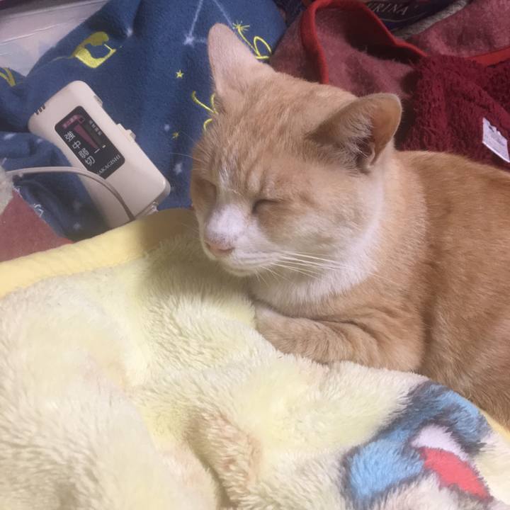 C097cdf5 ff4a 4295 ac59 f345e7d96d3d 1542453298272