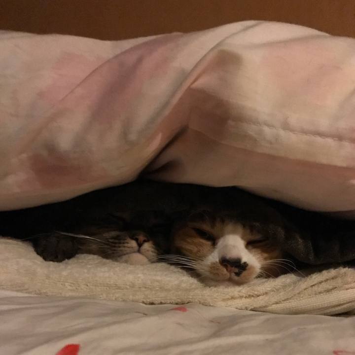 C097e563 6693 4c31 8467 fdd5c10e6195 1517907592215