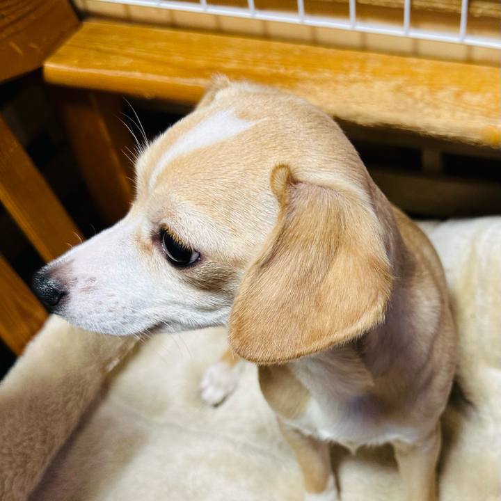 C09816b5 6be6 4e76 afef b2ed82b909b1 1675598371198