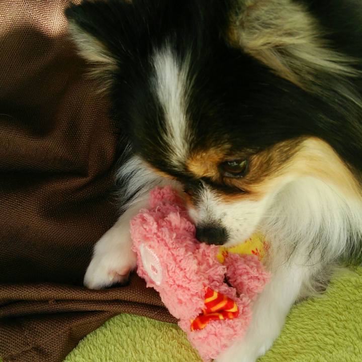 C09833ed a1c5 4819 af63 8bb472b08c62 1520212556718