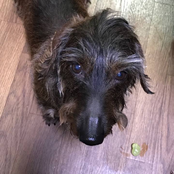 C09845e0 95bb 4a2d b702 8d47e3e6c875 1524055172731