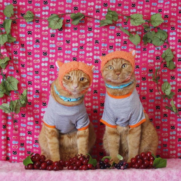 C098614c d50f 45e4 bc99 811993ff1e57 1732191820259