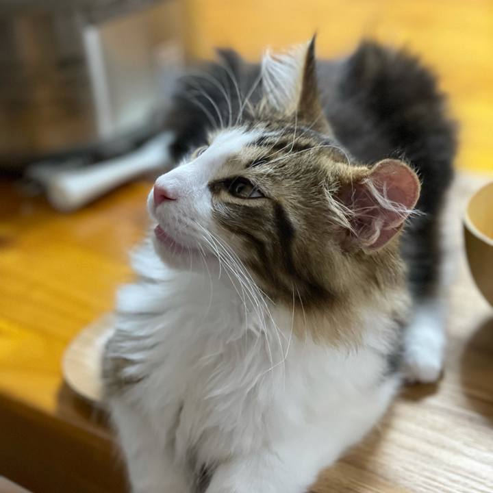 C098652a df05 4021 bd68 348efe497902 1633947842527