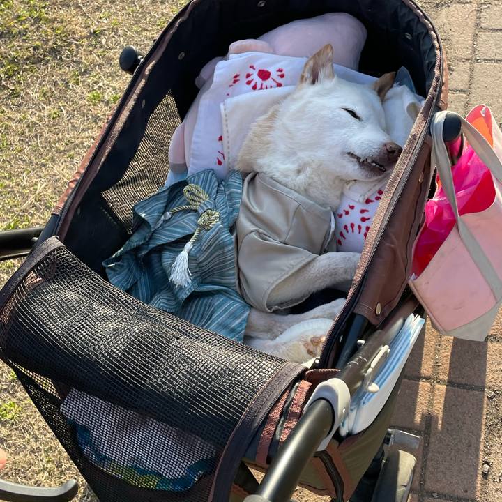 C0988e90 69dc 4396 8baf 4f7c10621119 1677837636546