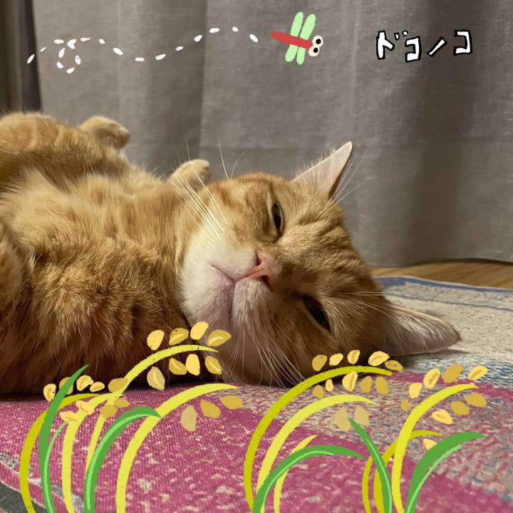 C098a80b 8bbd 49ff b797 455e84ab71eb 1761128880593