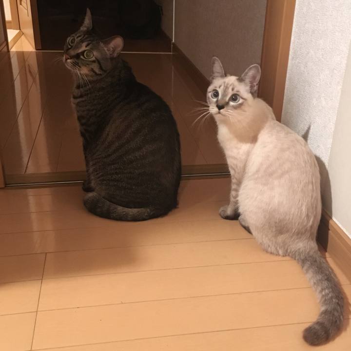 C098c102 f415 4722 90ab 7f00cdae4e70 1542201552121