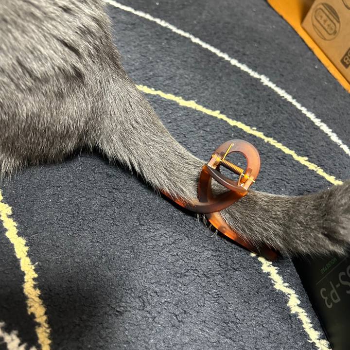 C0990b1e 374f 4f0e ac87 badb3c0a6e21 1689202531373