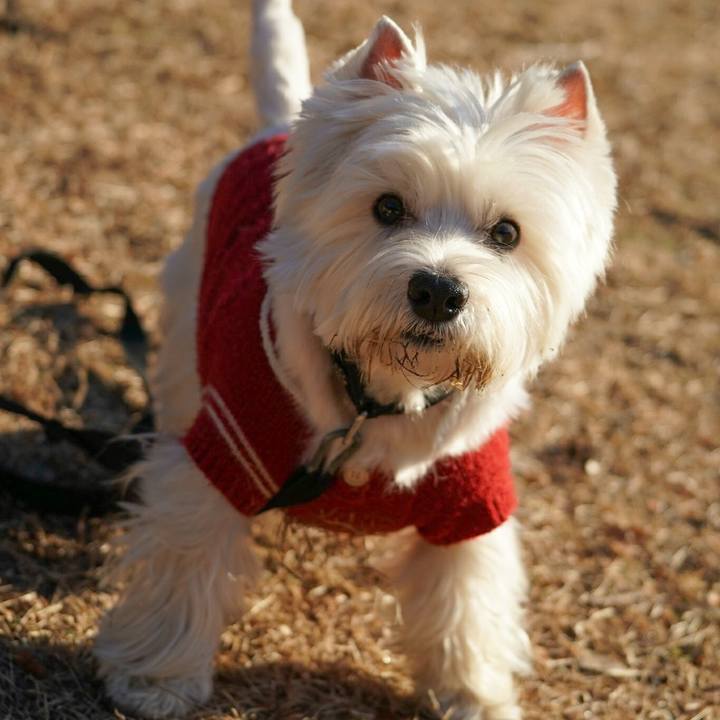 C0990d84 f87b 479d 94b2 601dab77cd17 1518011393600