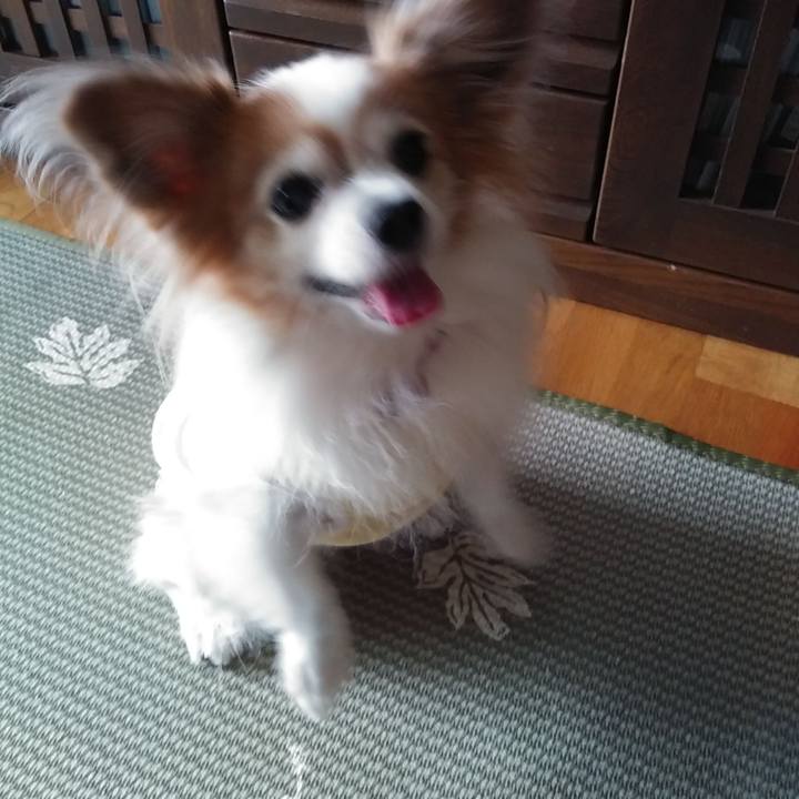 C09931f3 2e09 45a0 ac9f 9b19d9b60e27 1539836671446