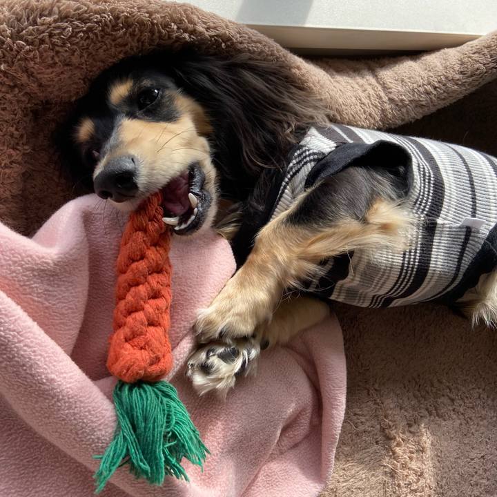 C09957f1 38e2 4a69 a306 37ee13a6bfa1 1705667464307