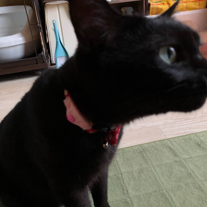 C0996169 b054 4dfa b0ba 161201c40b05 1625357655266