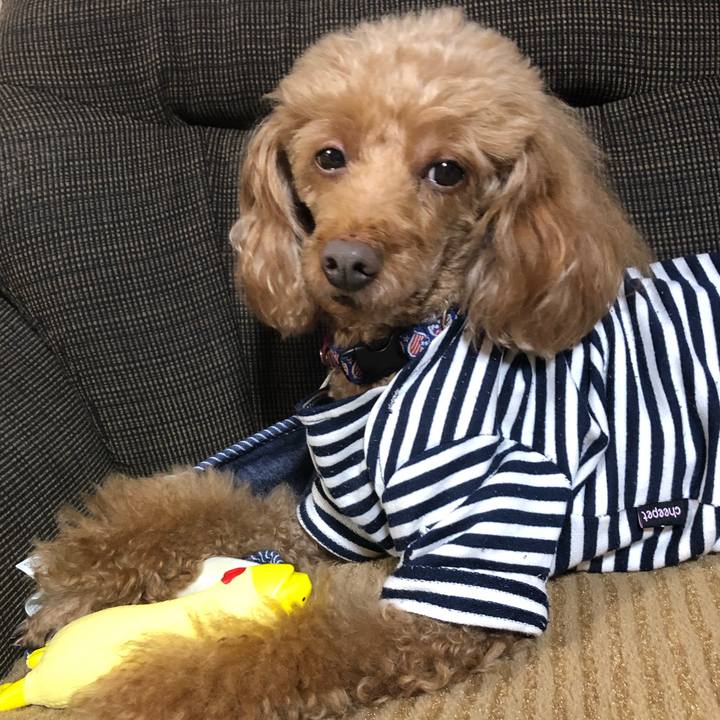 C099d60d bcac 4771 8812 ef7ed373076f 1635150214118