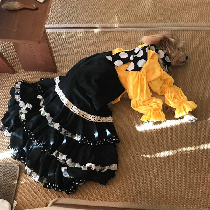 C09a0e70 77dd 4b56 be79 5f6598d0a802 1581463233417